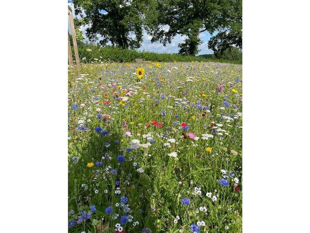 Ferienhäuschen mit 1 Schlafzimmer in Seedorf (Kreis Segeberg), Südliche Ostseeküste