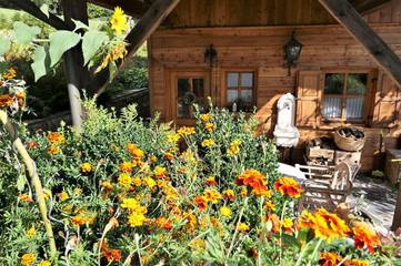 Ferienhaus für 4 Personen in Bad Kötzting, Ostbayern, Bild 2