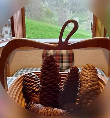 Gîte pour 3 personnes, avec vue à Limone Piemonte