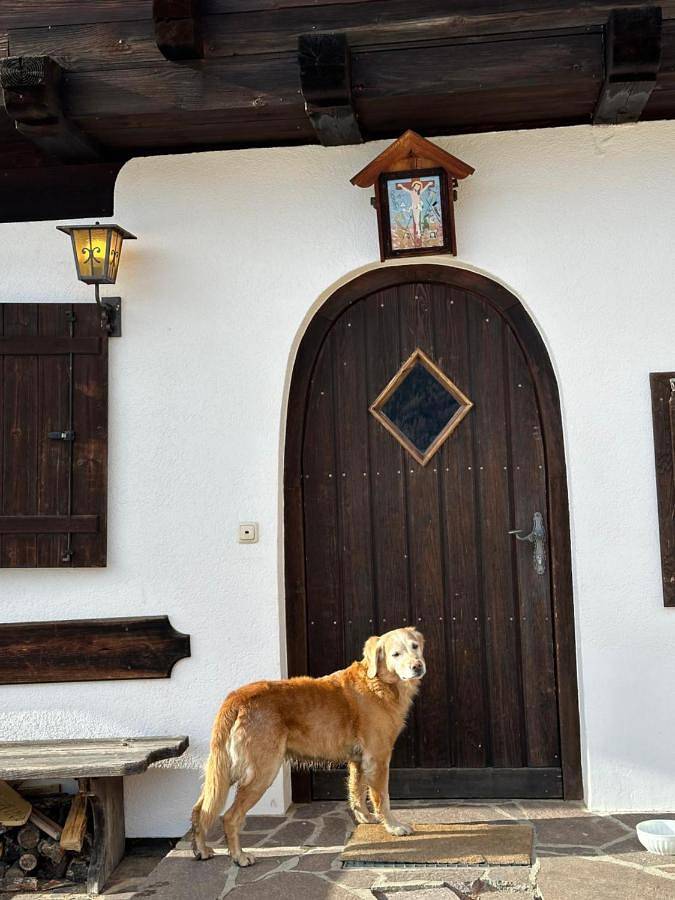 Ferienhaus für 6 Personen, mit Ausblick und Garten in Heiligenblut - 3