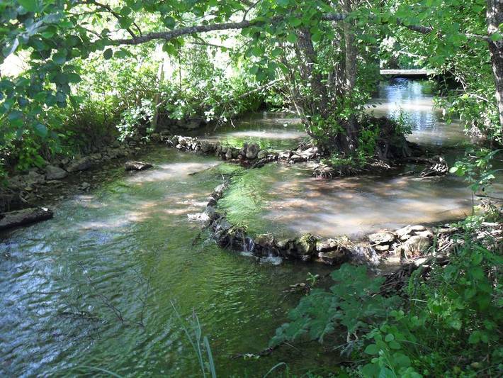 Gîte pour 6 personnes, avec jardin, animaux acceptés en Charente - 2