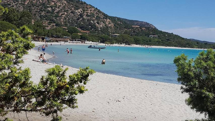 Chambre d’hôte pour 3 personnes, avec Jacuzzi et Terrasse ainsi que Jardin et Piscine à Porto-Vecchio