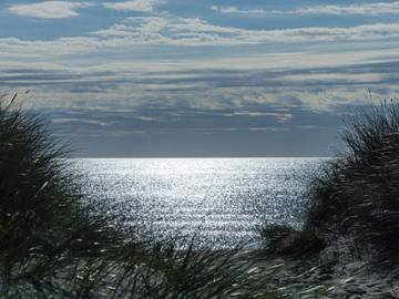 Ferieudlejning til 5 Personer i Lyngså, Nordøstjylland, Billede 4