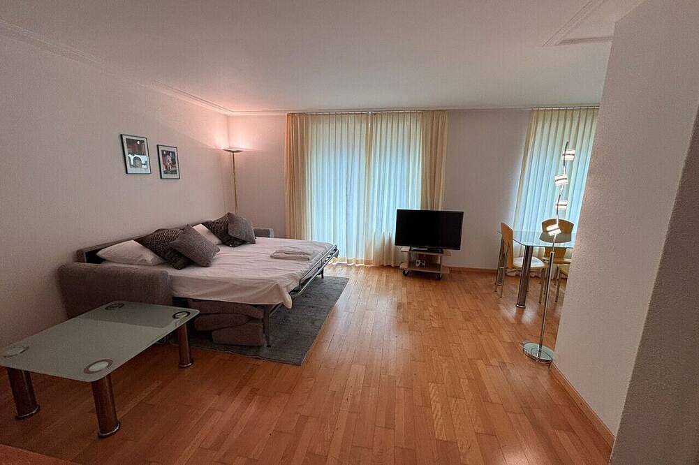 Appartamento intero, 1Bedroom apt near lake (Joy) in Zurigo, Distretto di Zurigo