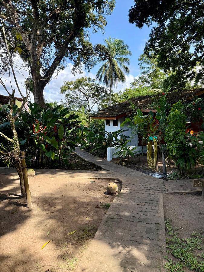 Hôtel pour 3 personnes, avec balcon ainsi que vue et jardin dans Ilha de Boipeba - 2