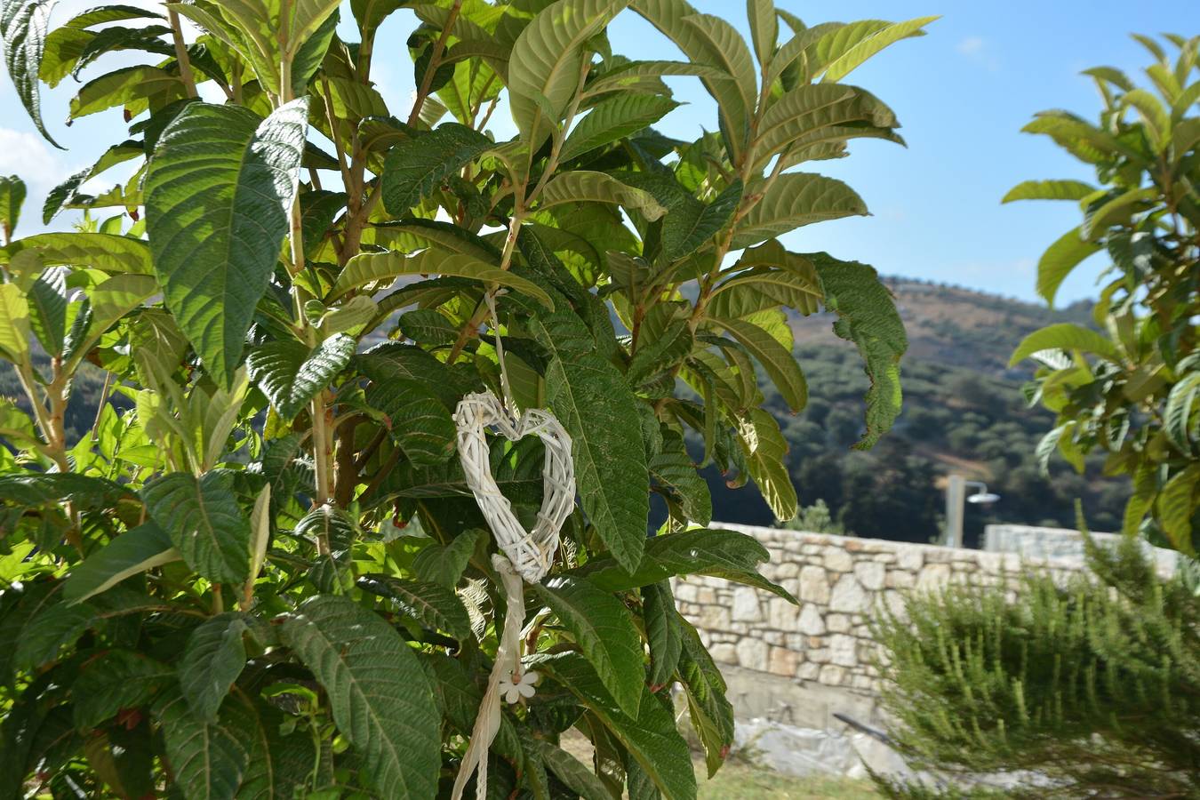 Ferienhaus 'Sochoro Sun Mountain Hospitality' mit Bergblick, Wlan und Klimaanlage in Episkopi, Iraklio-Heraklion und Umgebung