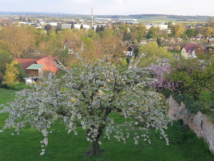 Ferienwohnung für 5 Personen, mit Balkon und Garten in Fritzlar - 3