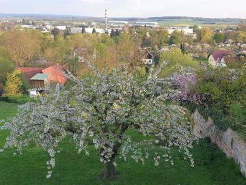 Ferienwohnung für 5 Personen in Fritzlar, Schwalm-Eder-Kreis, Bild 2