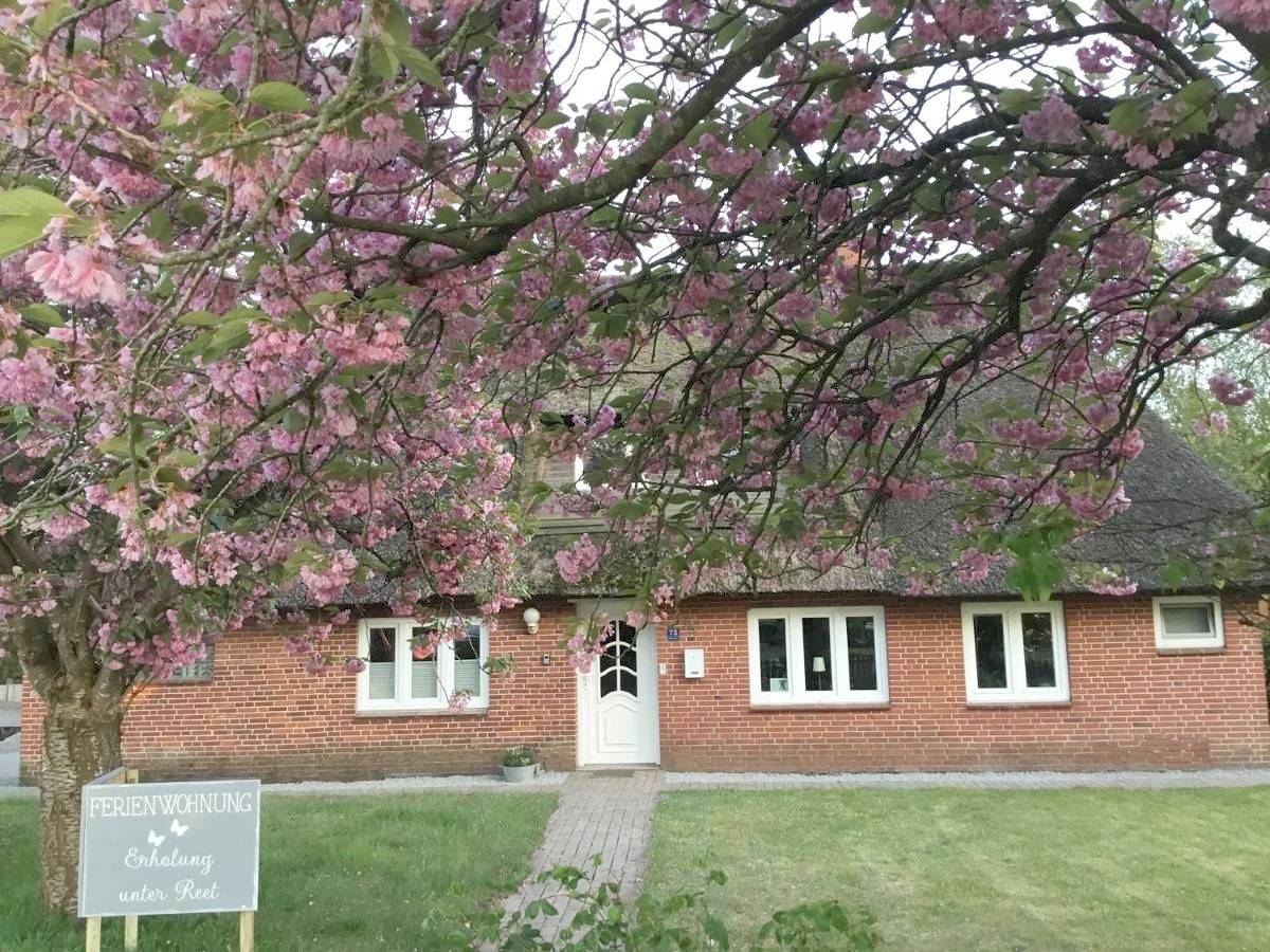 Ganze Wohnung, Apartment in Bordelum, Nordfriesland