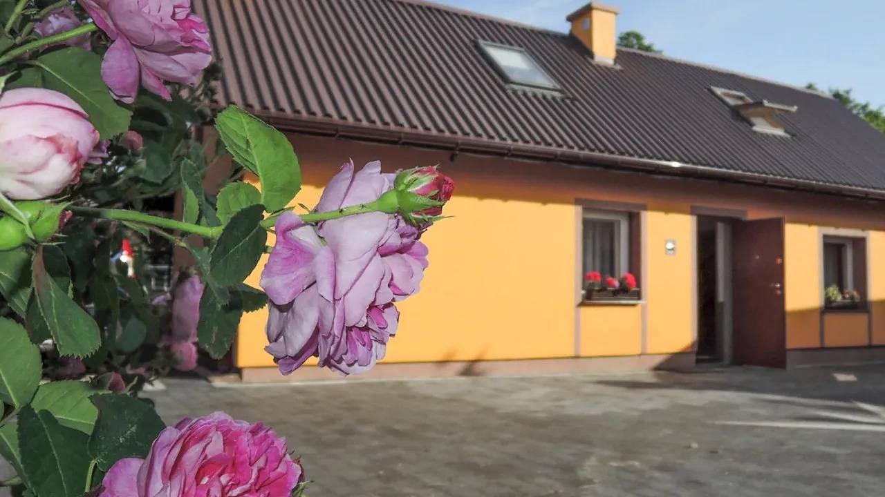 Ferienhaus für 6 Personen (100 m²) in Stepniczka in Stettiner Haff