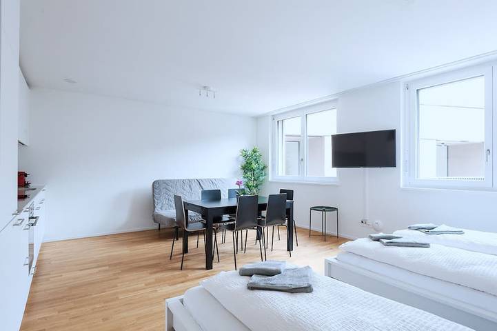 Ganze Wohnung, Bs Lynx Iv - Messe Hitrental Apartment in Basel Zustellkreis, Basel