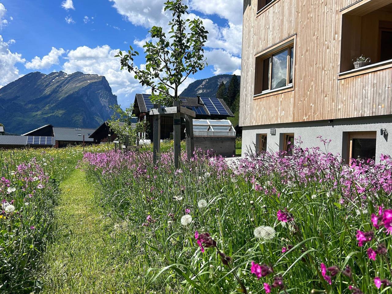 Ganze Ferienwohnung, Haus Gschwend 409 in Schoppernau, Bregenzerwald