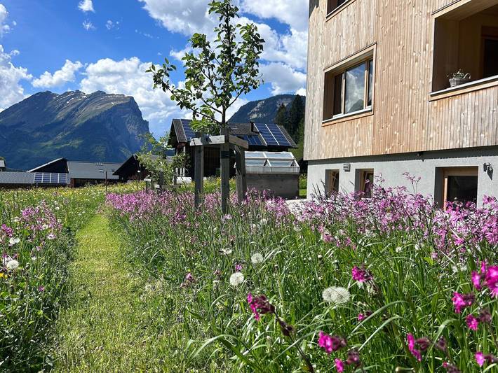 Ferienwohnung für 4 Personen, mit Balkon und Garten sowie Ausblick in Schoppernau - 3