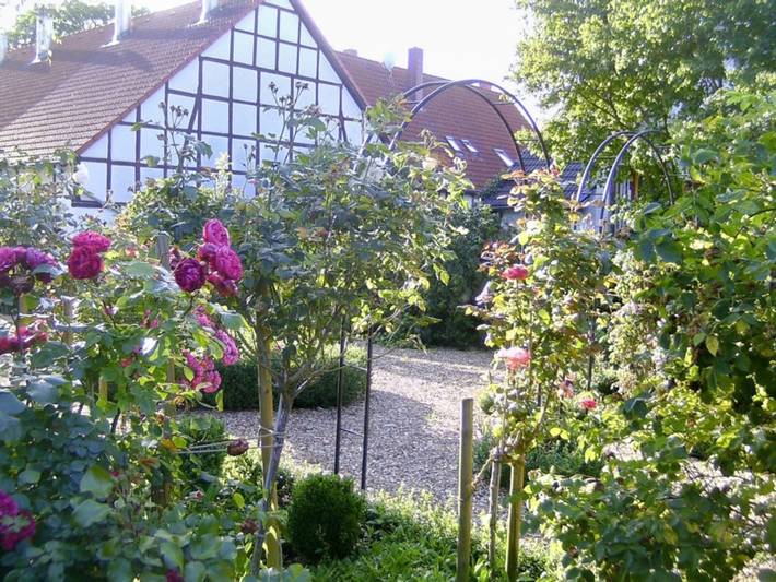Bauernhof für 6 Personen, mit Pool und Garten im Weserbergland - 3