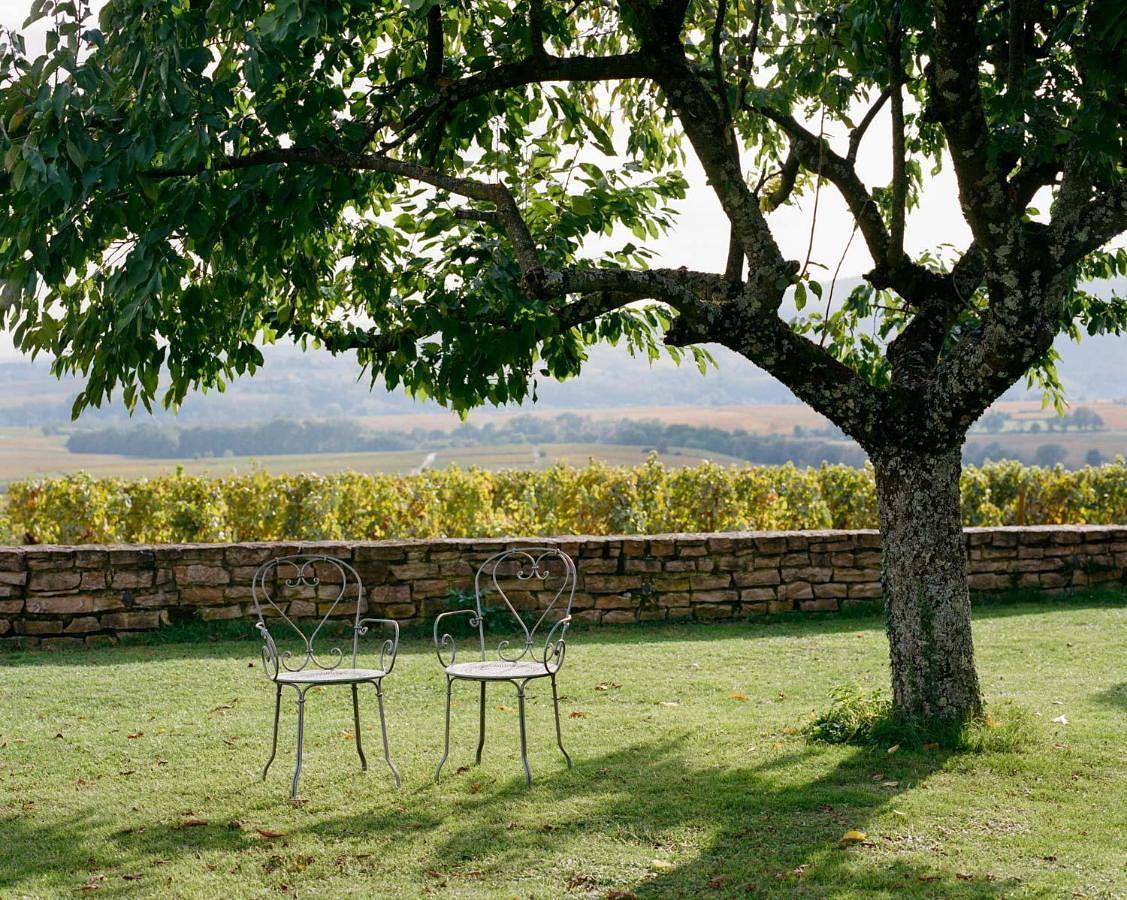 Ma Chambre A Saint Amour in Saint-Amour-Bellevue, Beaujolais