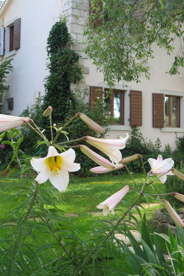 Finca am Strand für 8 Personen, mit Garten und Pool in Kroatien - 3