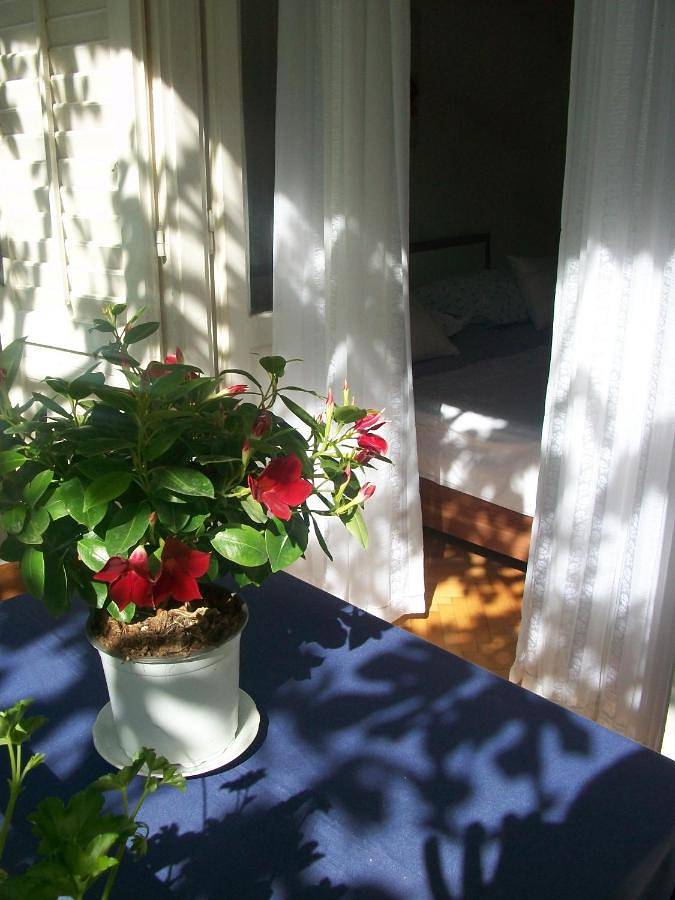 Maison d’hôte pour 4 personnes, avec jardin, animaux acceptés à Makarska - 4