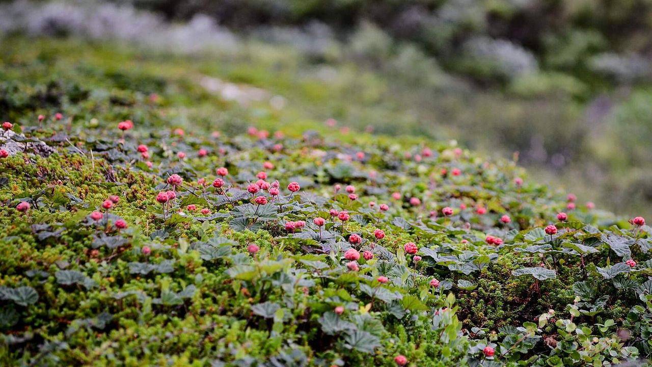 Ferienhaus für 11 Personen (95 m²) in Stöten in Stöten, Malung-Sälen region