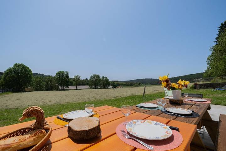 Gîte pour 6 personnes, avec terrasse dans Réserve des bisons d'Europe