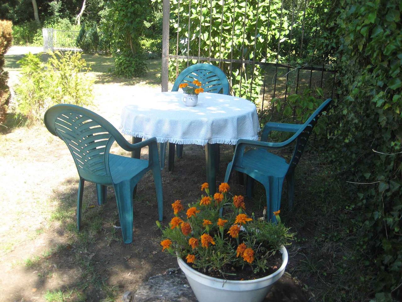 Entire studio, Studio with terrace and use of garden  in Barth, Western Pomerania