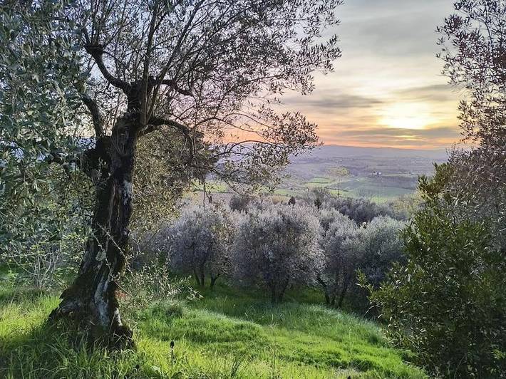 Casa vacanza per 7 persone, con panorama e giardino, con animali domestici - 1