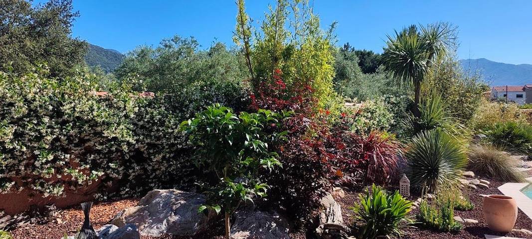 Location de vacances pour 2 personnes, avec piscine ainsi que vue et jardin, animaux acceptés à Saint-André - 3