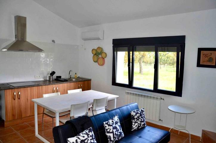 Apartamento de vacaciones para 22 personas, con Jacuzzi y Terraza además de Jardín y Piscina en Extremadura - 4