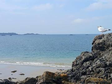 Gîte pour 15 personnes, avec balcon dans Plage du Port-Blanc
