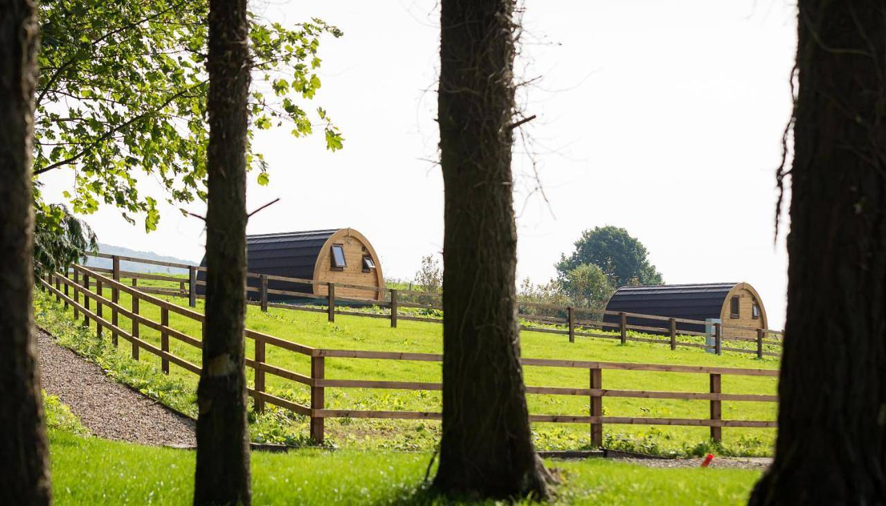 Family Room in County Clare