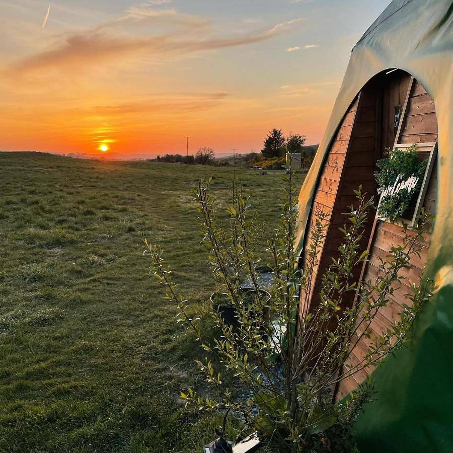 Pant y Rhedyn Glamping and camping site in Conwy region