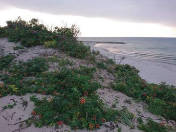 Ferieudlejning til 12 Personer i Hundested, Halsnæs, Billede 2