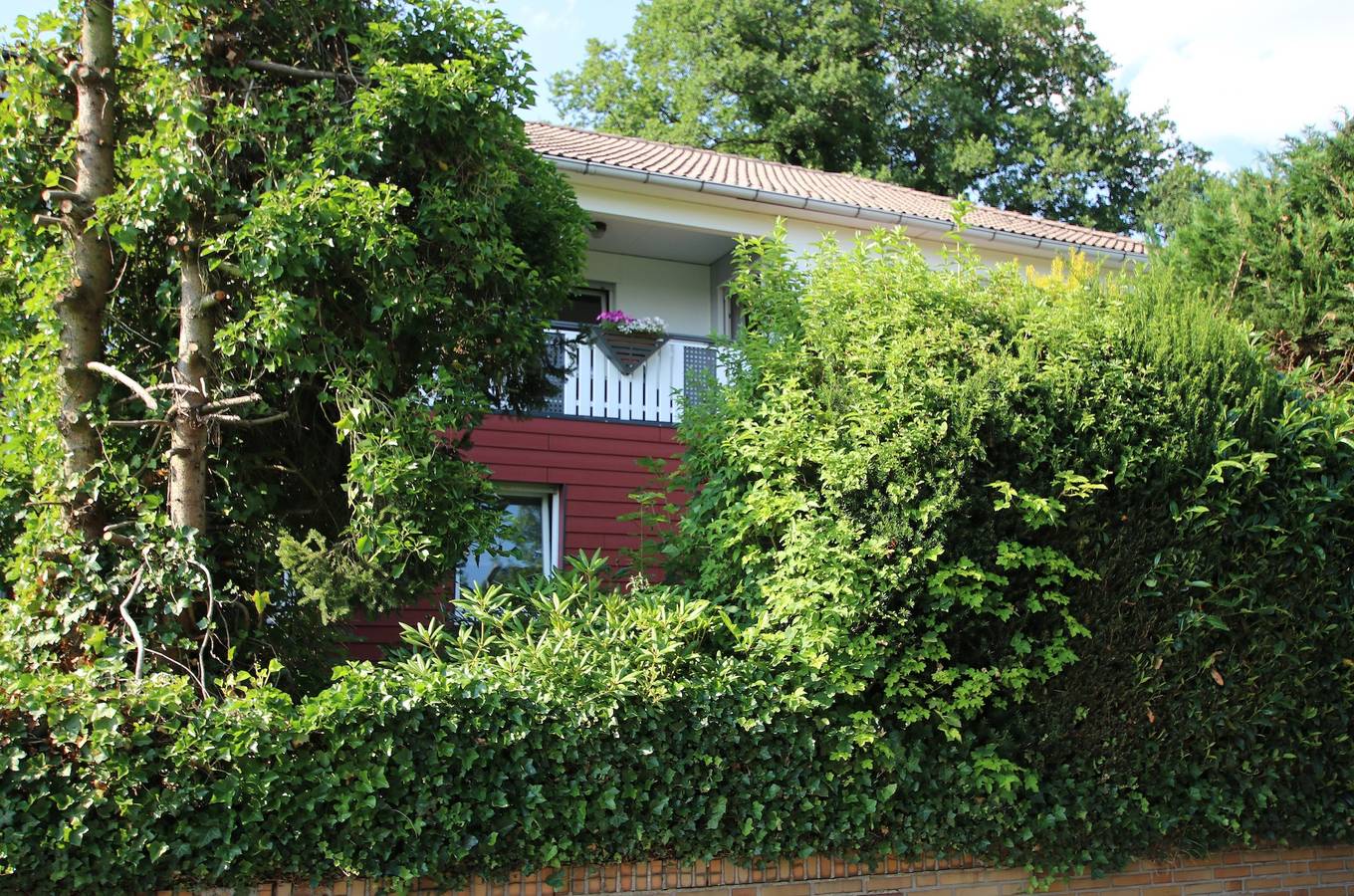 Ganze Ferienwohnung, Ferienwohnung Zum Rosengarten (West015) Westerwald in Driedorf, Lahn-Dill-Kreis
