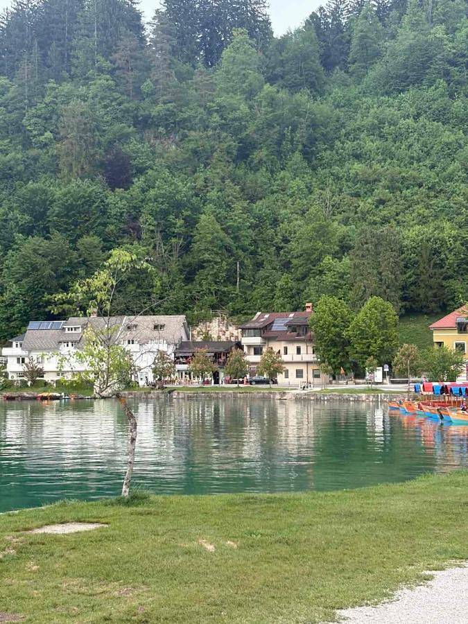 Cały apartament, Apartma Panorama in Bled, Park Narodowy Triglav