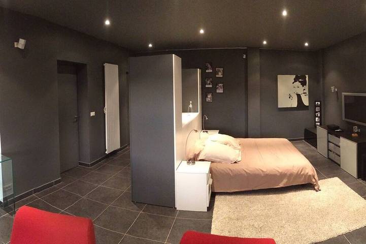 Villa pour 12 personnes, avec jardin ainsi que sauna et jacuzzi à Veyrier-du-Lac - 3