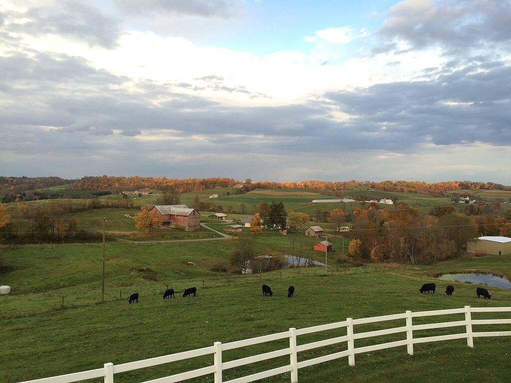 Atemberaubender Ausblick, 2 Küchen, Naturlehrpfade, bewirtschafteter Bauernhof in Holmes County