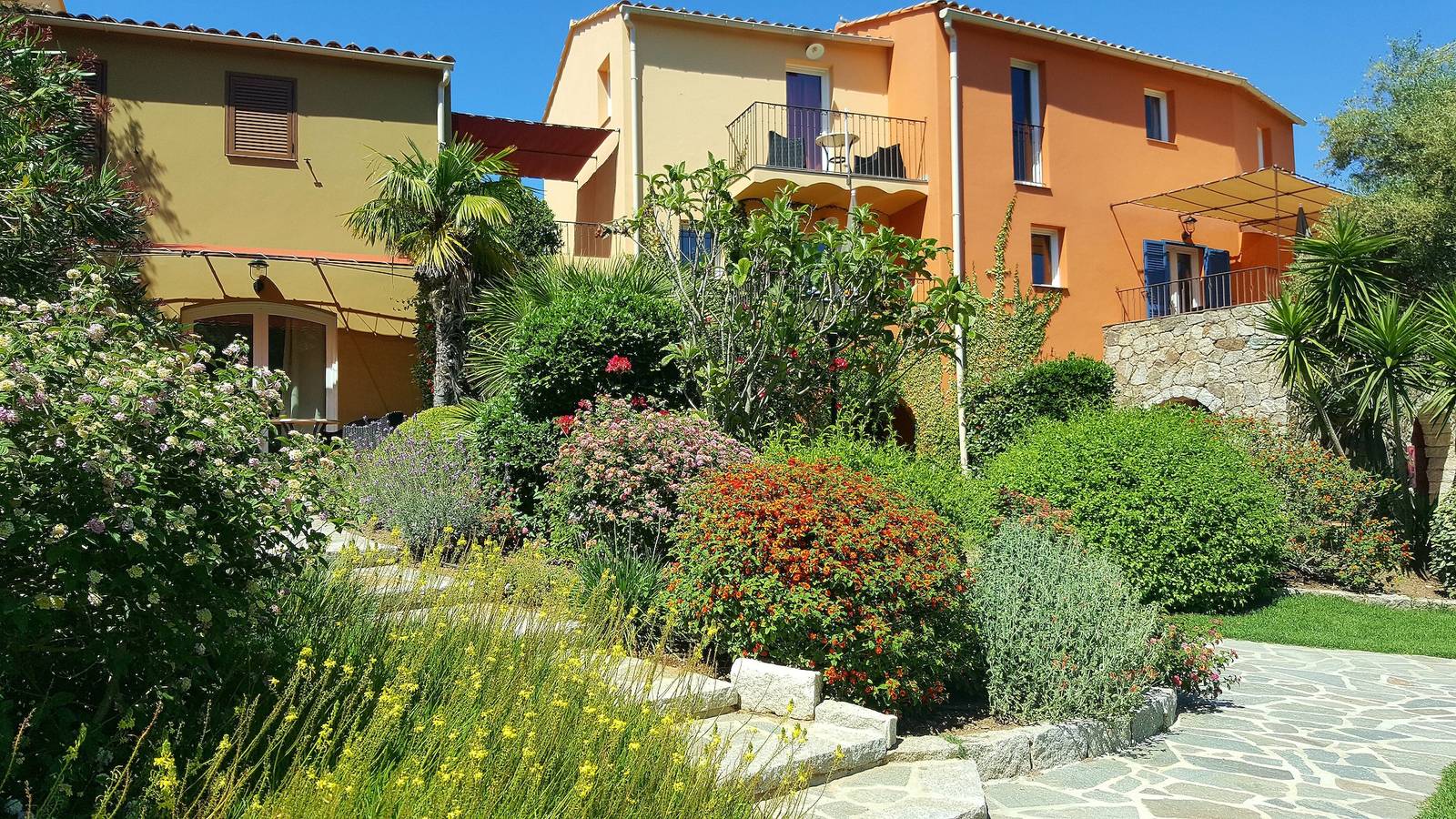 Studio 'A Merula - In Calvi' avec piscine partagée, balcon et climatisation in Calvi, Région de Calvi