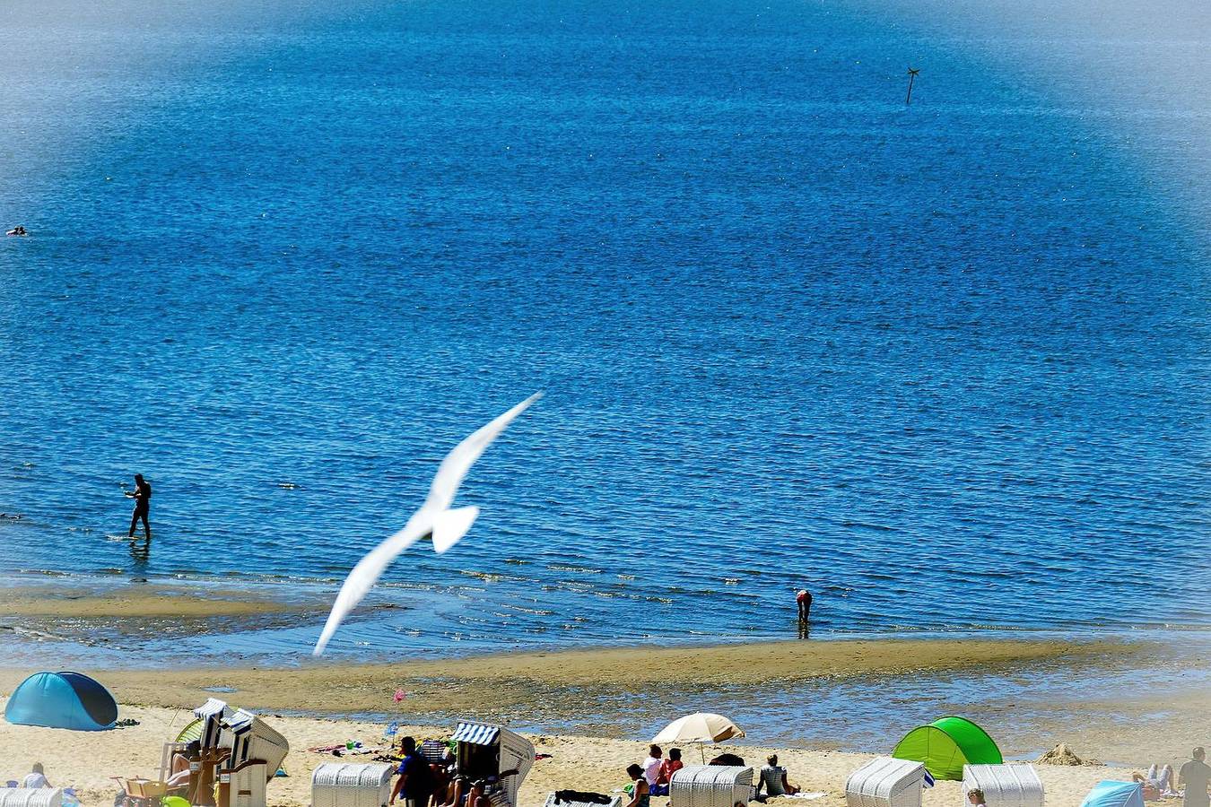 Ganze Wohnung, As32 direkt am Strand - Verbringen Sie einen wunderbaren Urlaub in bester Lage in Sahlenburg Strand, Cuxhaven