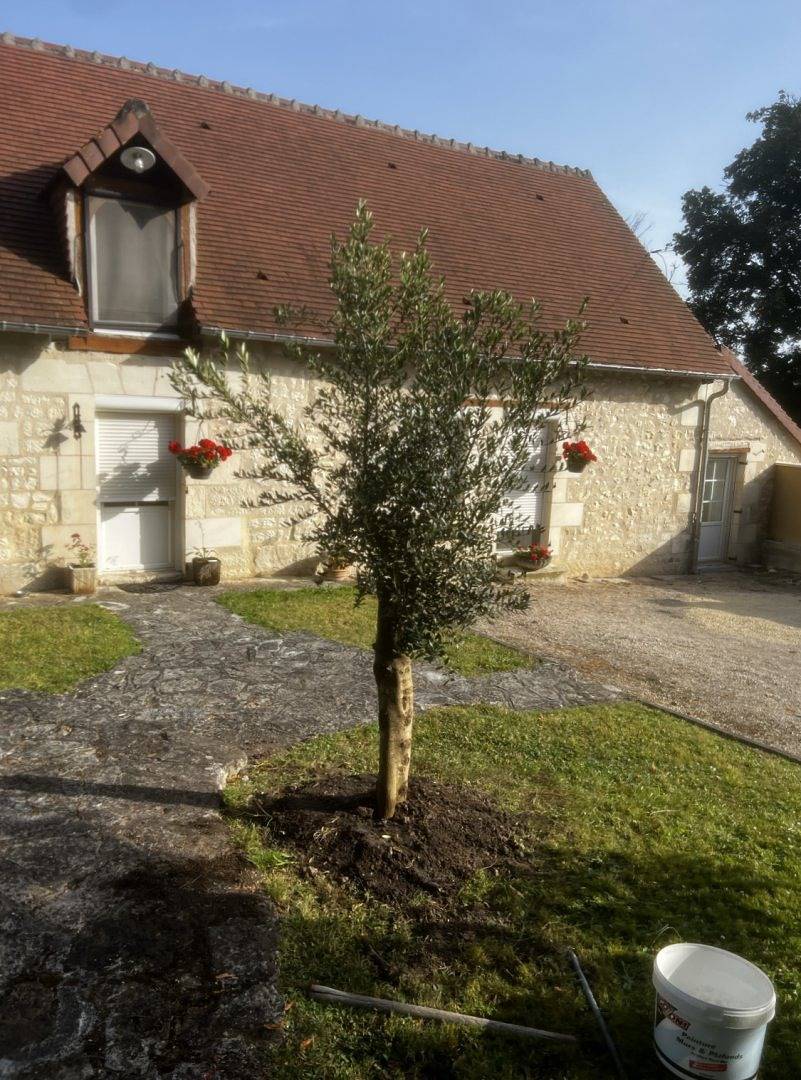 La p’tite maison dans la prairie - Chambre in Valençay, Vallée de la Loire