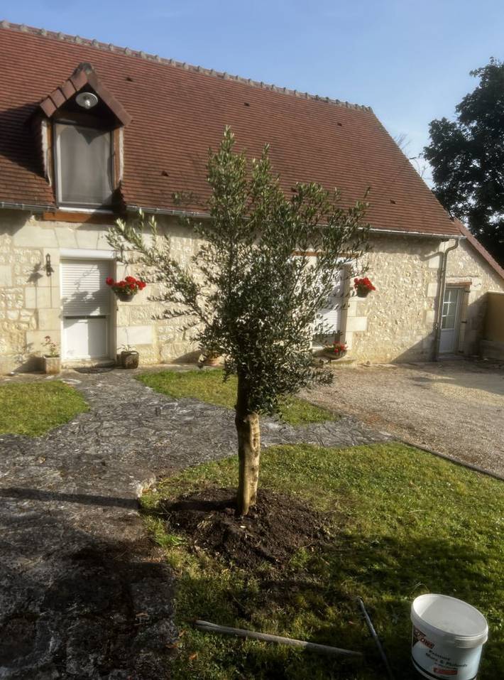Chambre d’hôte pour 2 personnes, avec jardin dans Indre - 2