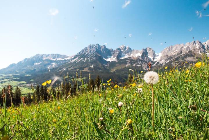 Ferienhaus für 4 Personen, mit Garten, kinderfreundlich in Ellmau - 3