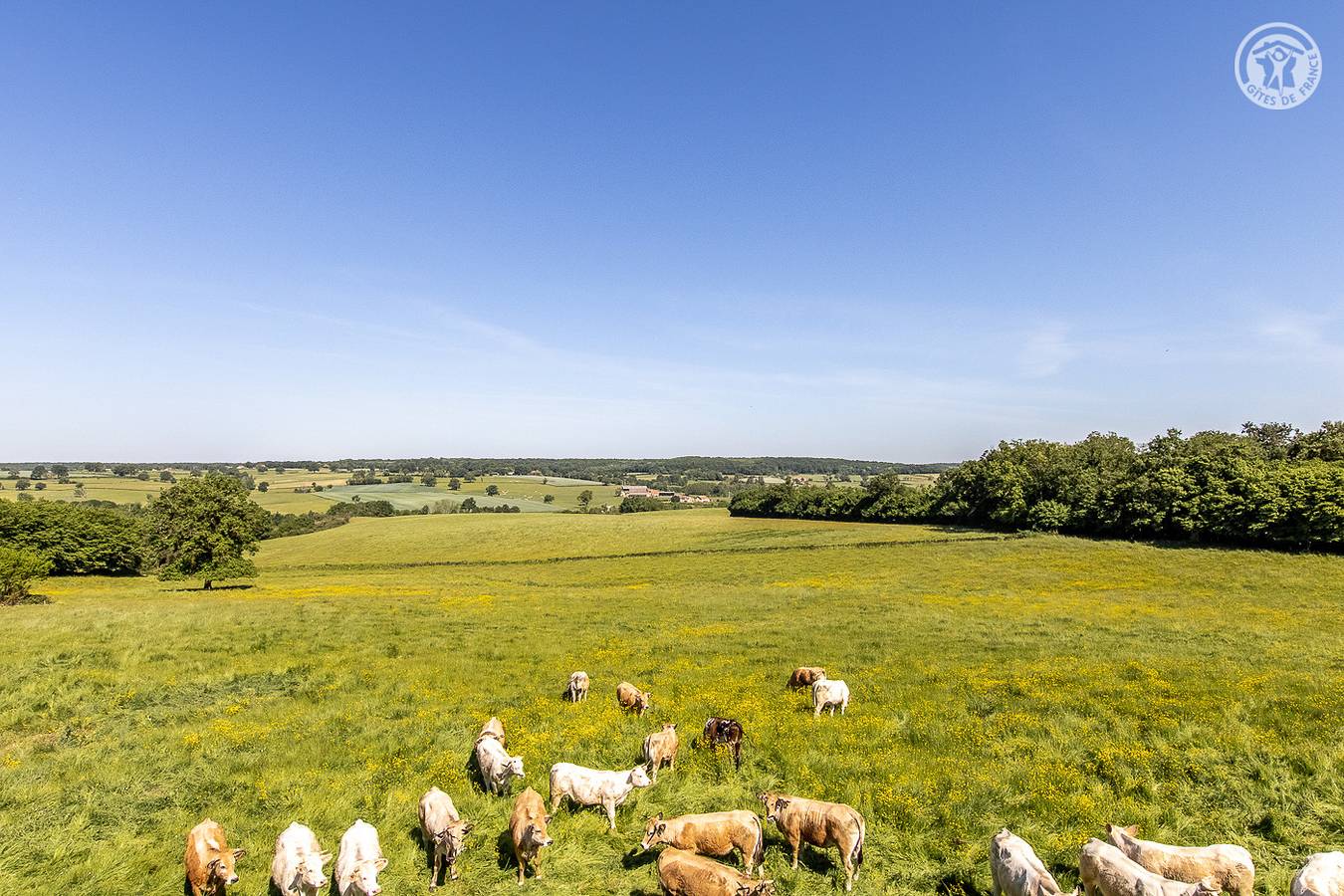 La Petite Bruyère in Gilly-sur-Loire, Région de Charolles