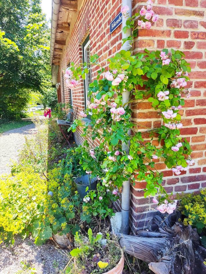 Bauernhaus für 2 Personen, mit Garten in Malente - 3