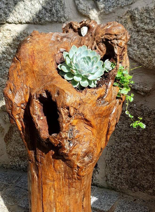 Location de vacances pour 7 personnes, avec terrasse ainsi que jacuzzi et piscine, animaux acceptés à Guarda - 3