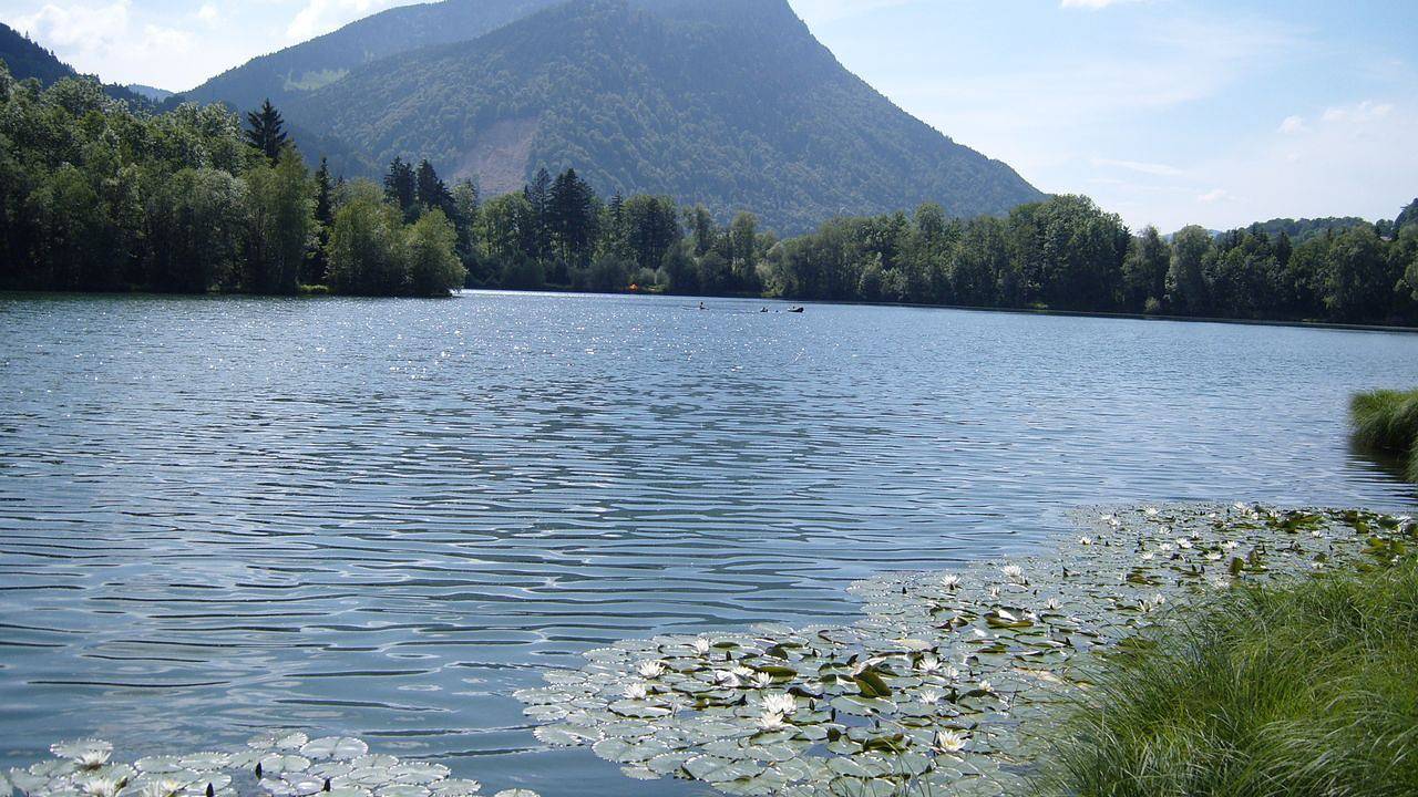 Ganze Ferienwohnung, Ferienwohnung für 2 Personen (24 m²) in Immenstadt in Immenstadt, Bayerisch Schwaben