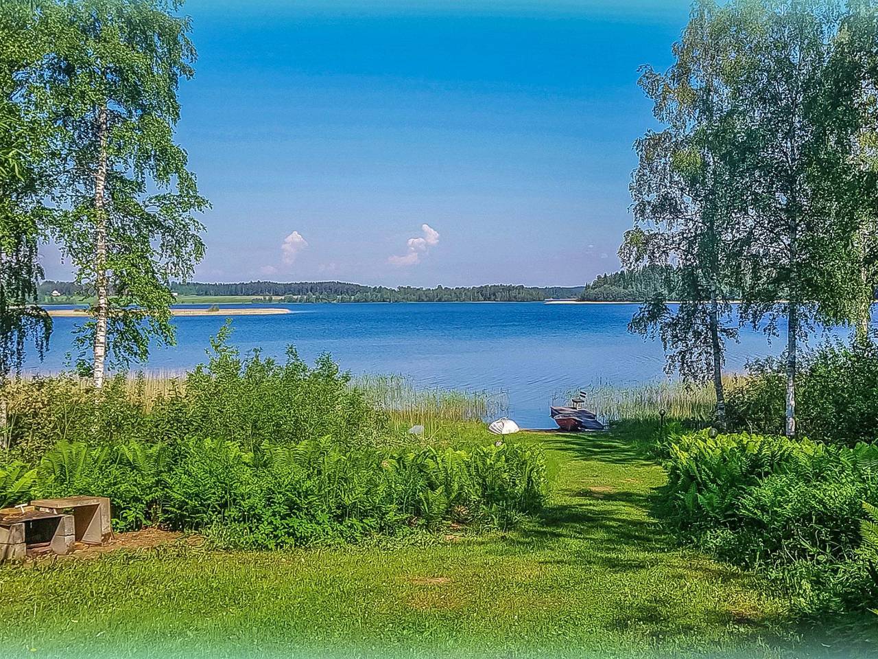 Villa-lyydia in Ilmoilanselkä
