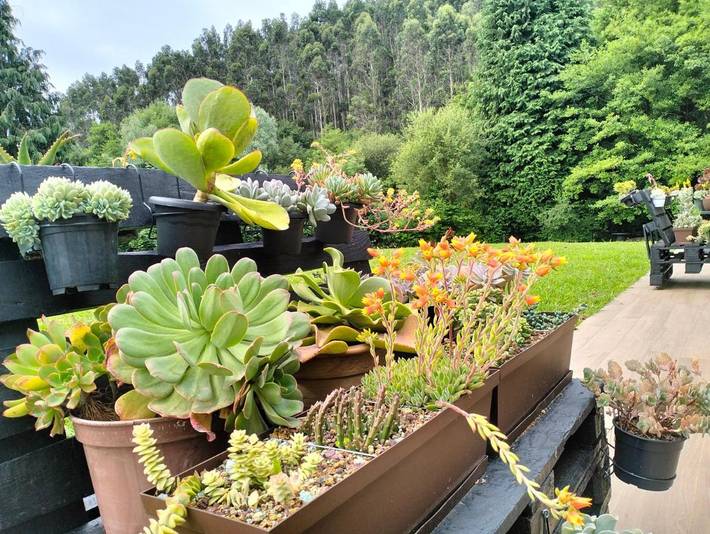 Casa rural para 3 personas, con vistas y jardín en Vizcaya - 2