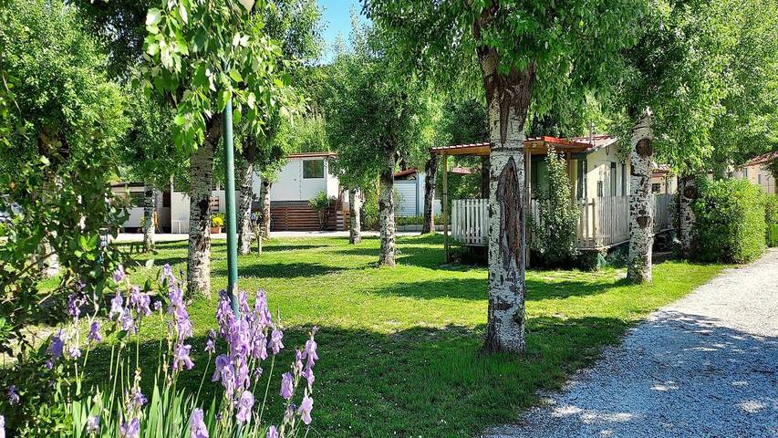 Bungalow für 6 Personen, mit Terrasse und Pool, mit Haustier in Ligurien - 2