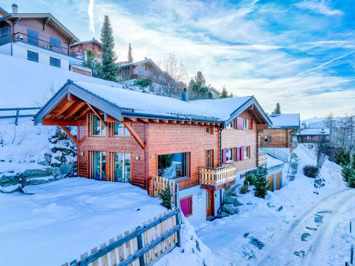 Chalet für 11 Personen, mit Sauna und Garten in Nendaz - 2