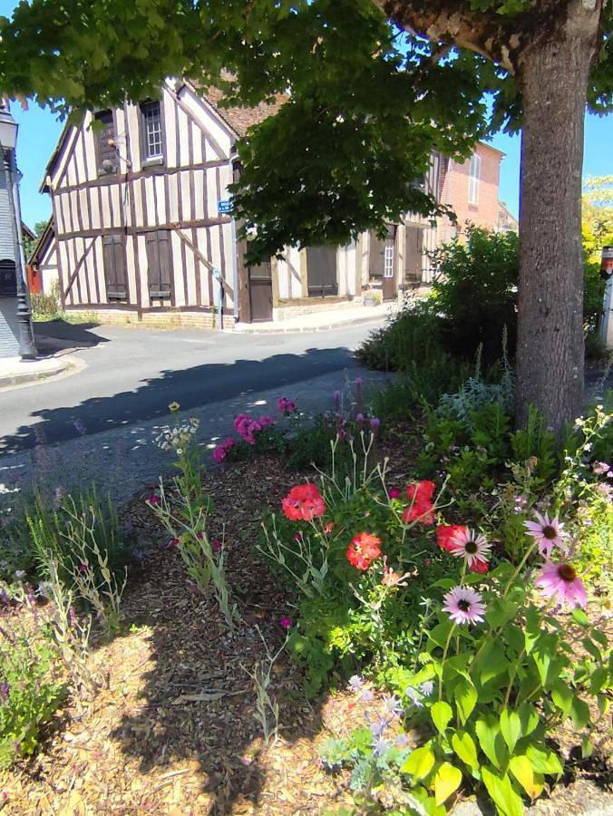 Chambre d’hôte pour 4 personnes, avec vue et jardin à Chaumont-sur-Tharonne - 2