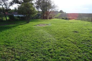 Bungalow für 60 Personen in Békés megye, Südliche Große Tiefebene, Bild 4